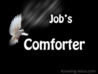 Job's Comforter (devotional)01-30 (black)